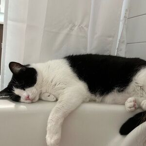 Meet your Posher, Diego